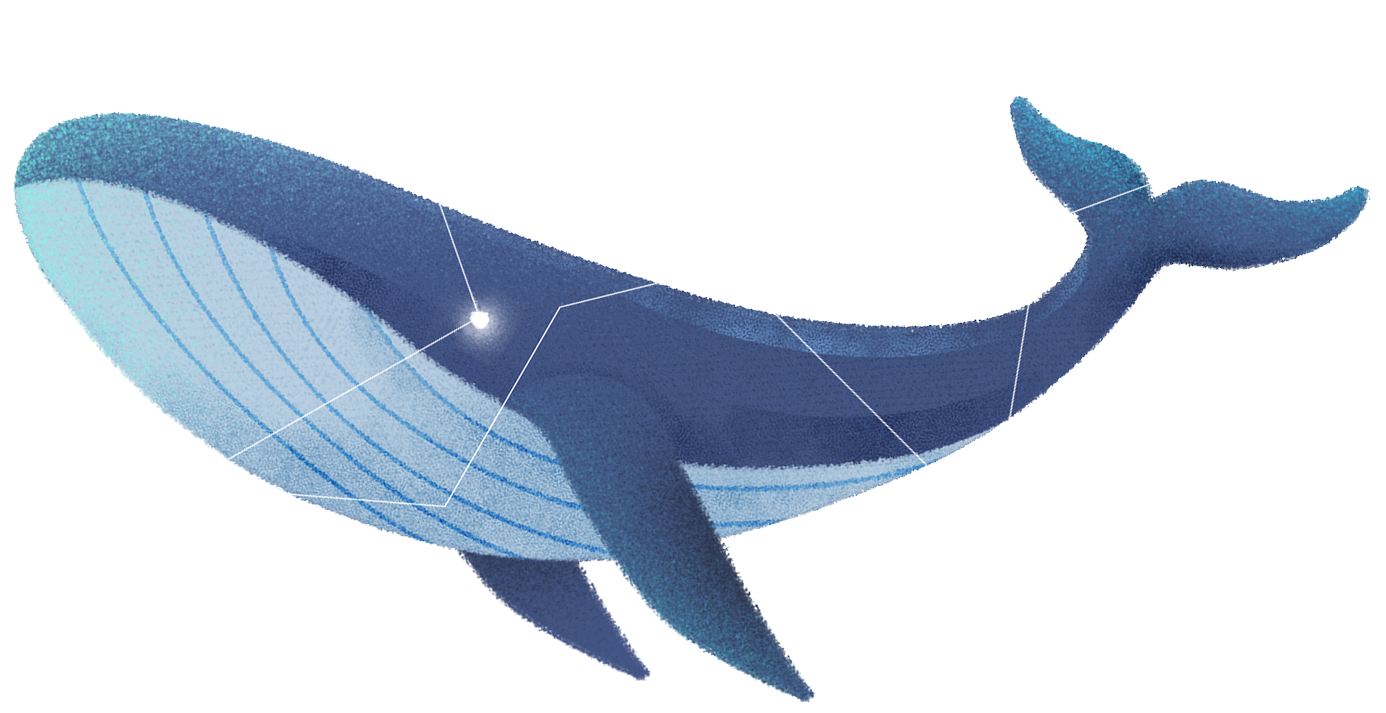 Flying Whales Ventures